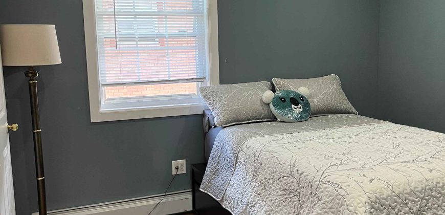 Shared 2 Bedroom, 2 baths apartment