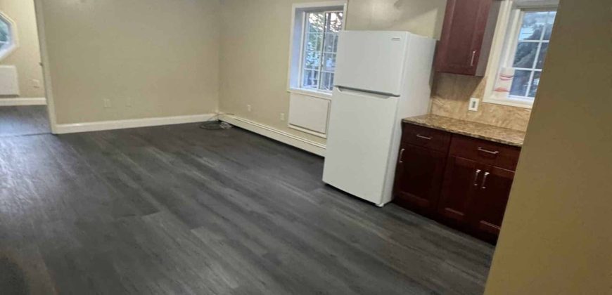 Modern 3 bedroom apartment, 2 baths