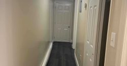 Modern 3 bedroom apartment, 2 baths